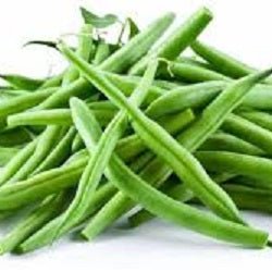 Holland Marsh Pickling Beans