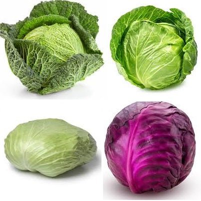 Holland Marsh Cabbage - June to January