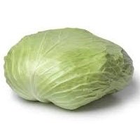Holland Marsh Cabbage - June to January
