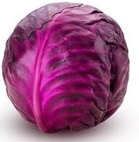 Holland Marsh Cabbage - June to January