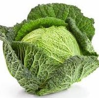 Holland Marsh Cabbage - June to January