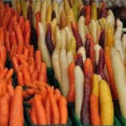 Holland Marsh Carrots - July to May