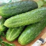 Field Cucumbers for Relish