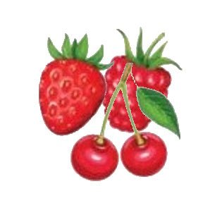 From Our Kitchen - Fresh Fruit Pies