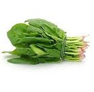 Ontario Greens - May to October