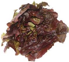 Ontario Lettuces - All Year