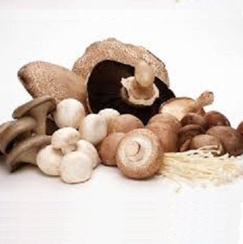 Ontario Mushrooms - All Year