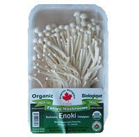 Ontario Mushrooms - All Year