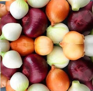 Holland Marsh Onions - All Year