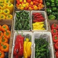 Holland Marsh Sweet Peppers - February to December