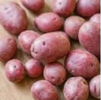Ontario Potatoes - All Year